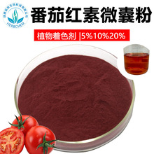 番茄红素5%10%包埋水溶番茄红素微囊粉番茄提取着色原料顺丰包邮