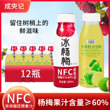 成央记冰杨梅汁冰镇果味饮料280ml*12瓶浓缩果蔬汁夏季果汁饮品