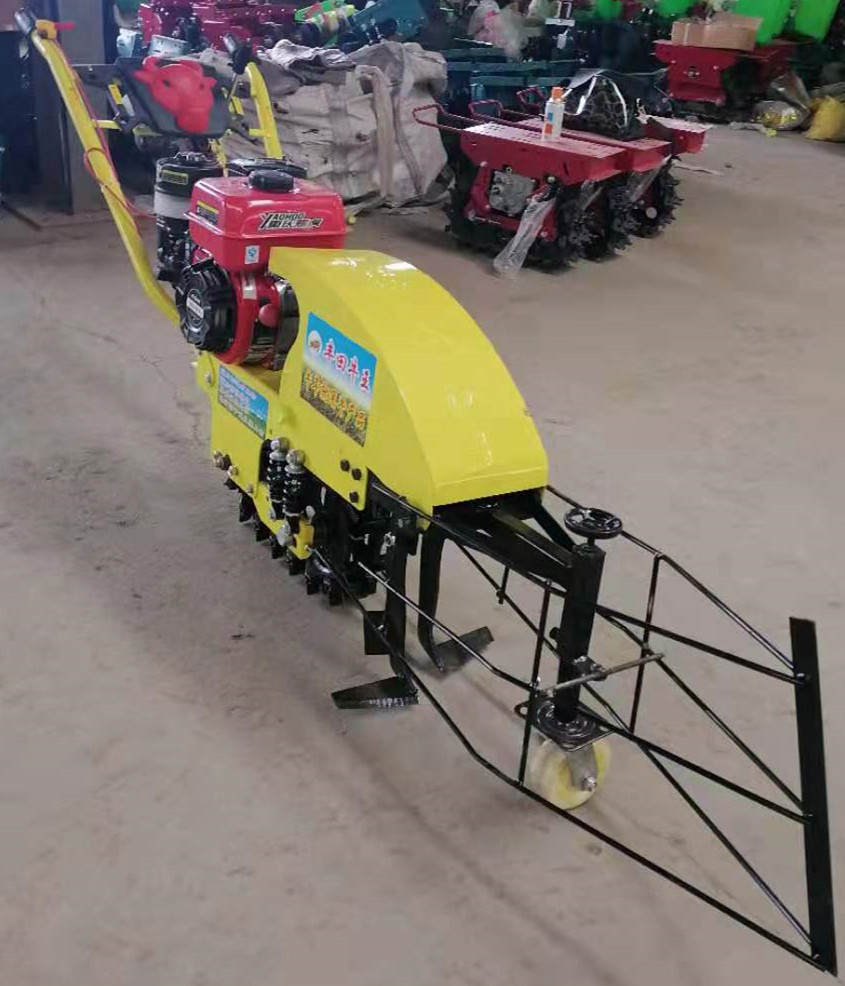 小型农用两行链轨式大蒜收获机 减震款出蒜机 套种辣椒地用起蒜机