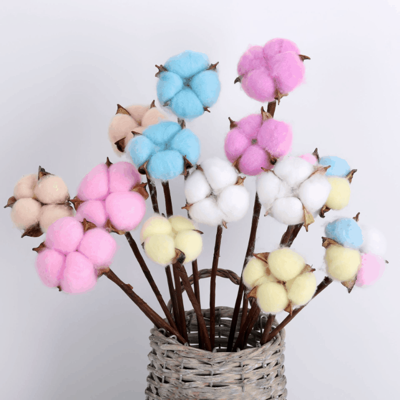 彩色单支棉花干花 永生花花束礼盒配花 棉花花束家居摆设拍摄道具
