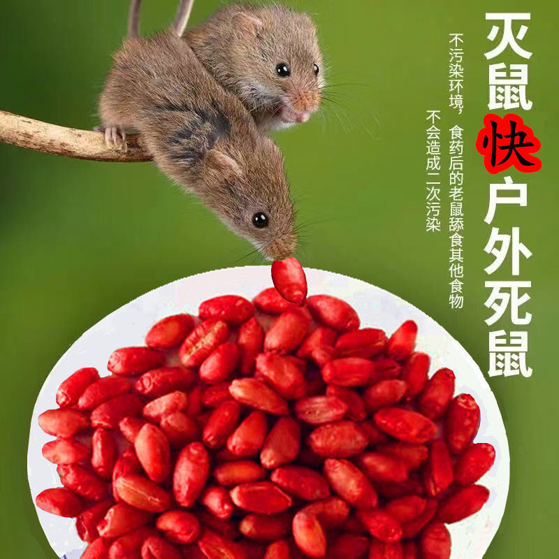 强效灭鼠颗粒老鼠闻到即死一窝端克星神器灵家用高效耗子驱鼠器毒