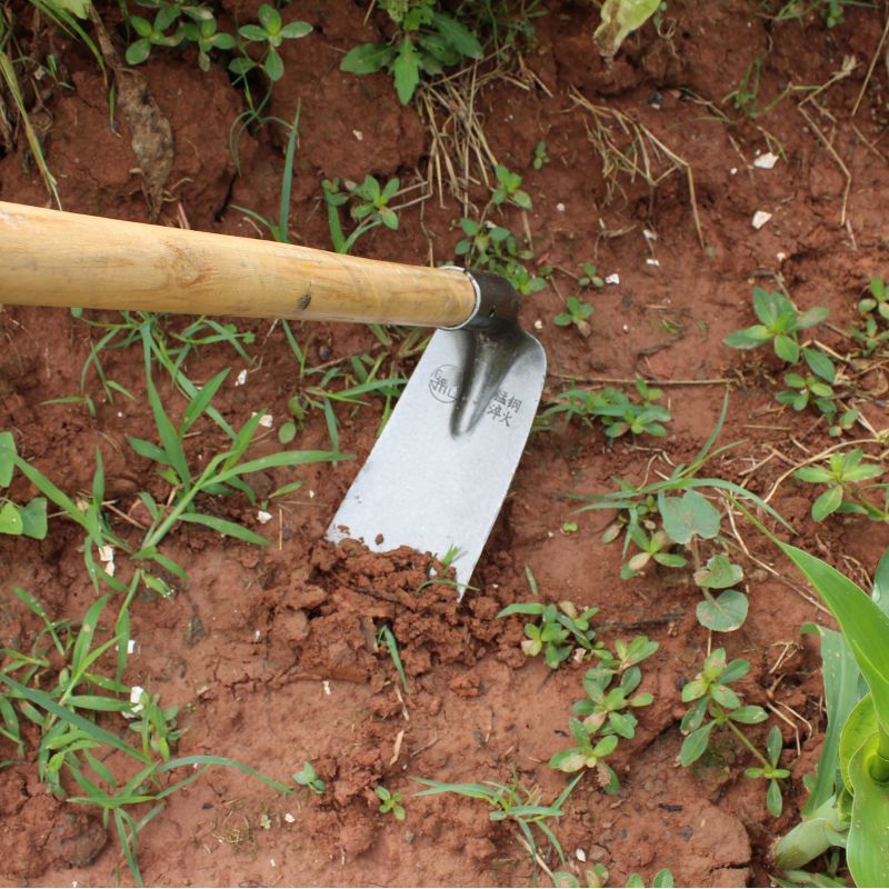 除草用的锄头新款农村挖土种菜开荒大锄翻地开山户外农用钢农具