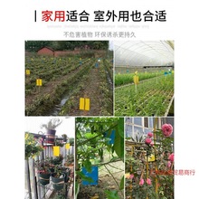 黄蓝一体粘虫板花型户外虫子大棚神器花卉针锋沾虫诱虫双面胶庭院