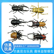 大号仿真甲虫模型玩具独角仙大兜虫鹿角虫锹形虫模型儿童早教工具