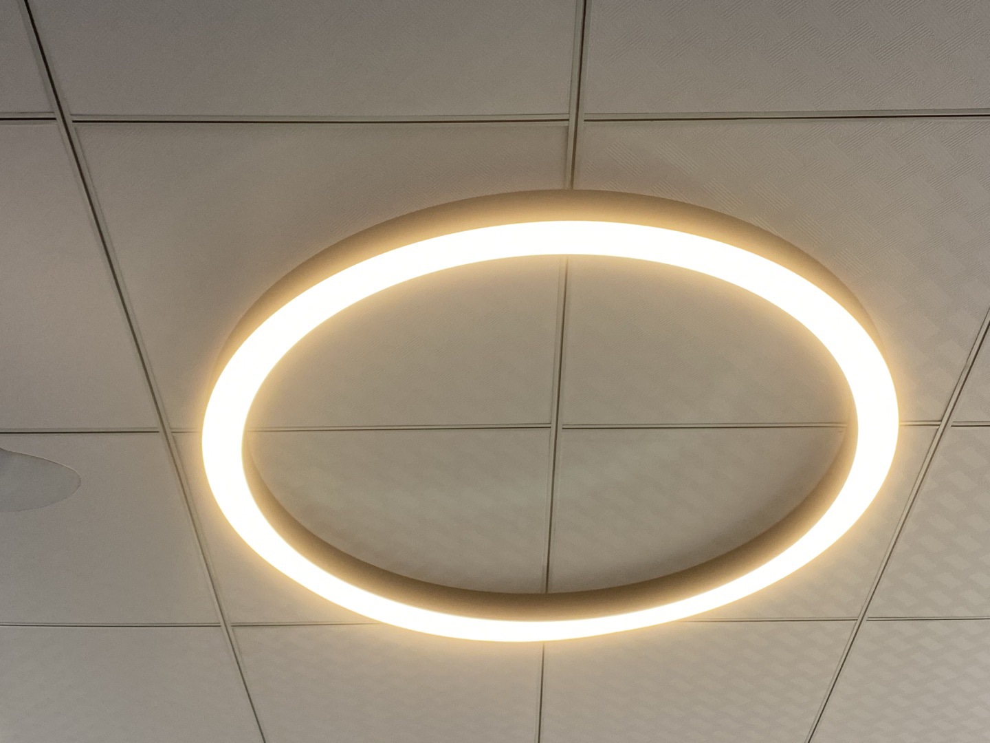 校园礼堂造型吊灯酒店大堂前台线形灯客厅吧台造型圆圈大圆环吊灯