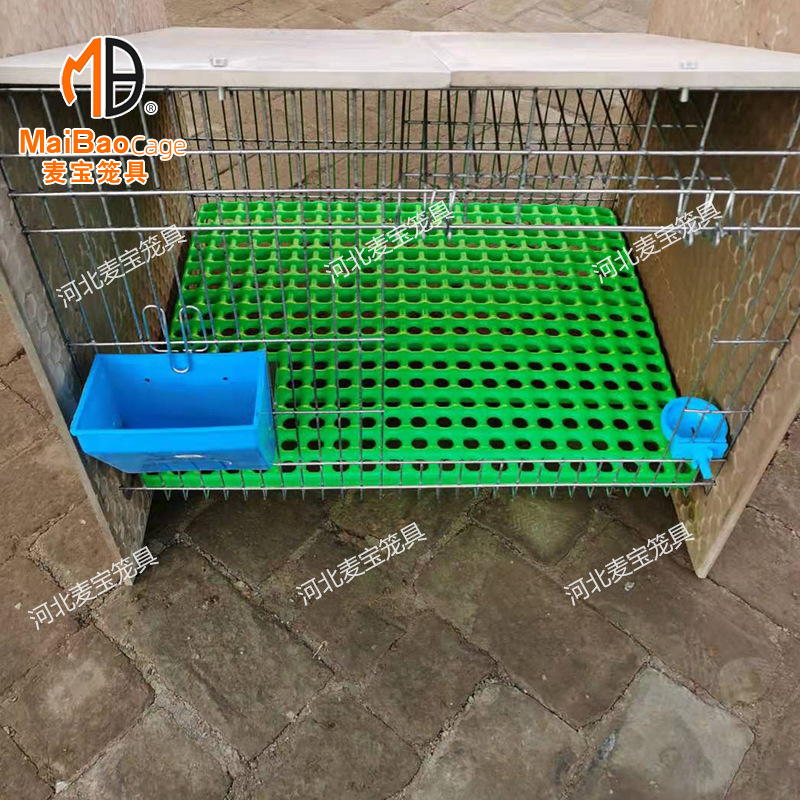 兔笼种兔笼厂家