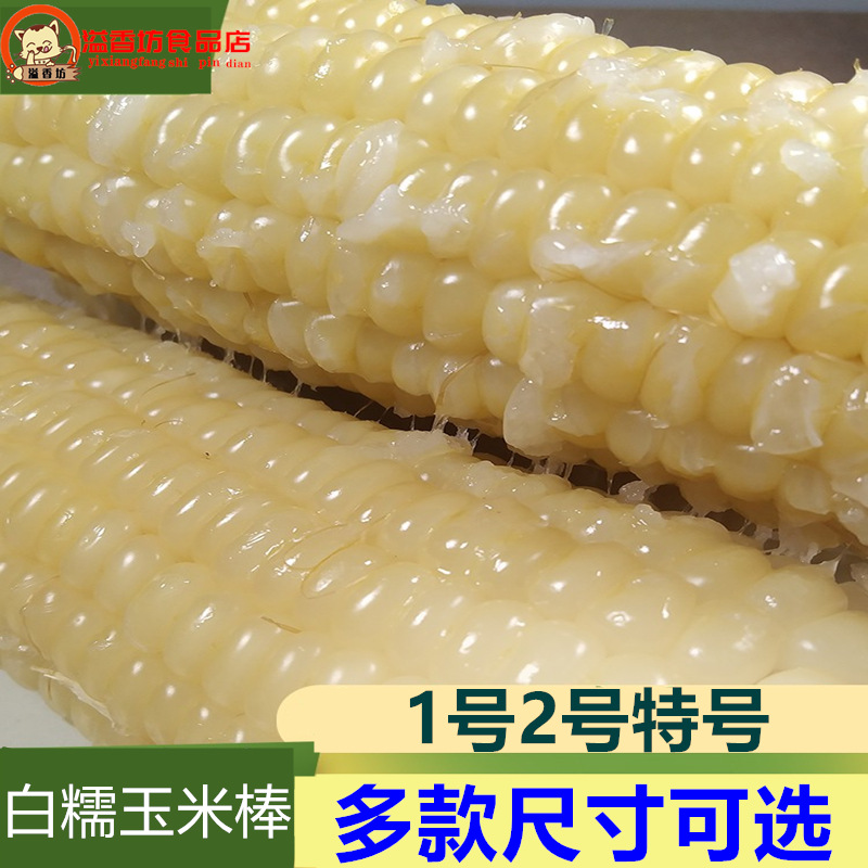 白色玉米棒 东北冷冻粘糯玉米甜粘1号玉米新鲜糯玉米40根18-20cm