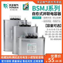 天正 BSMJ-0.45三相自愈式低压无功补偿并联电力电容器450V