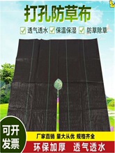 地膜农用防草布除草布果园耐用切片打孔透气保湿果树大棚园艺地布