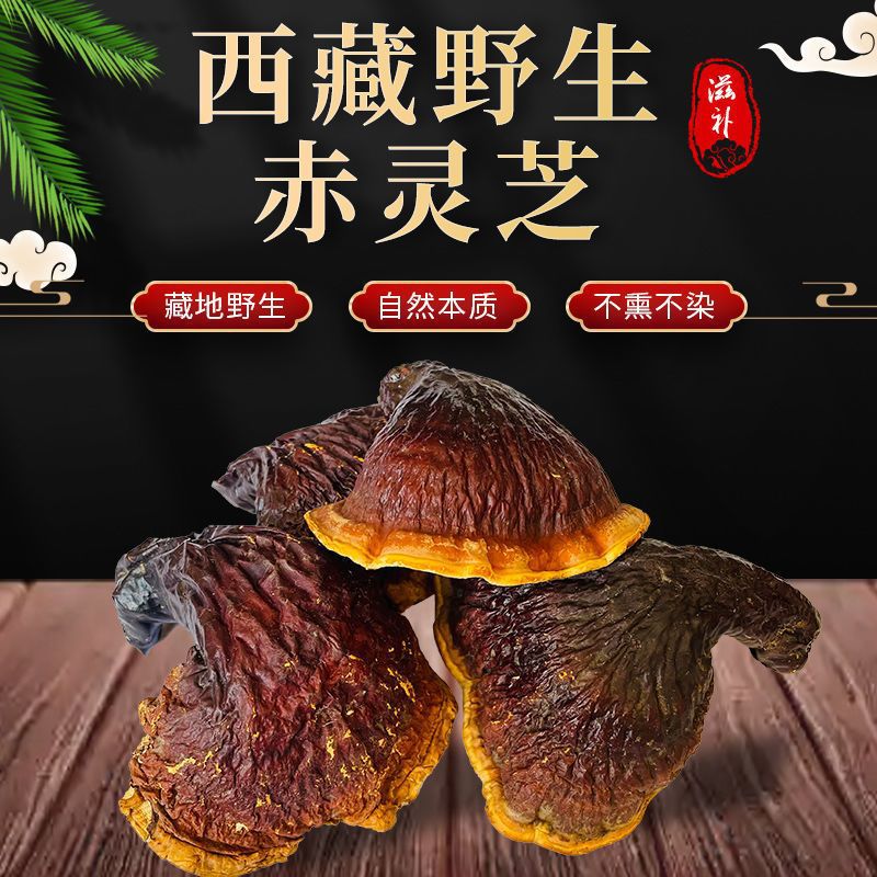 包邮西藏纯野生灵芝整枝滋补营养品泡酒泡水整枝野生采摘灵芝