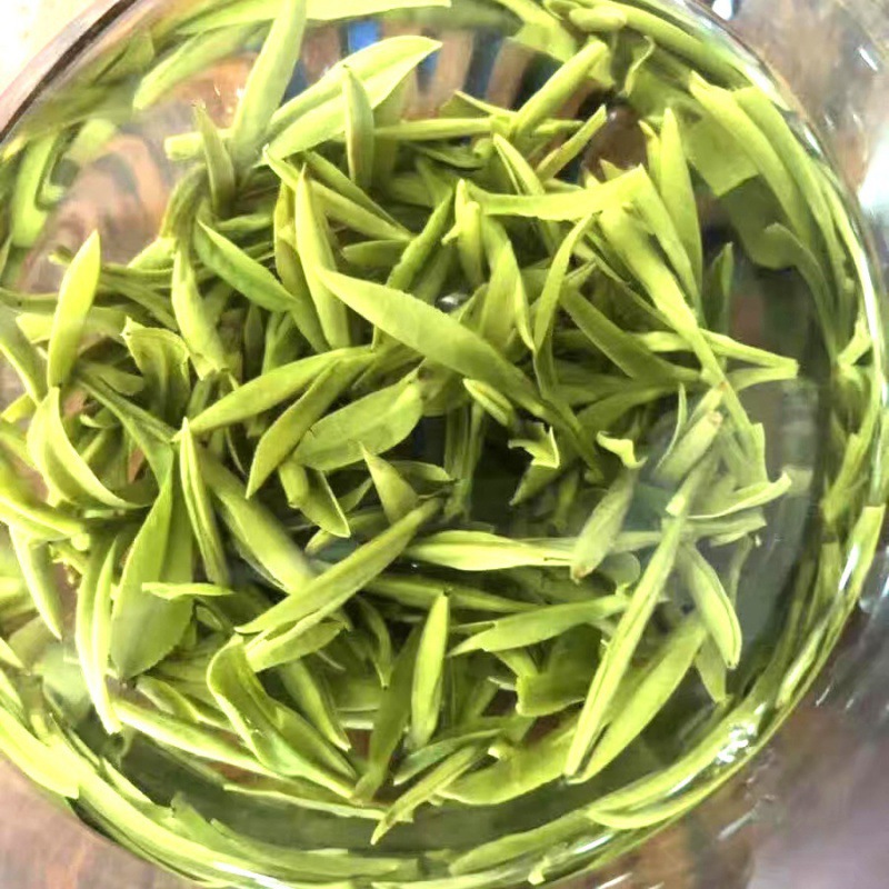 黄茶霍山黄芽2024新茶明前春茶头采安徽茶叶高山茶袋装散装250g