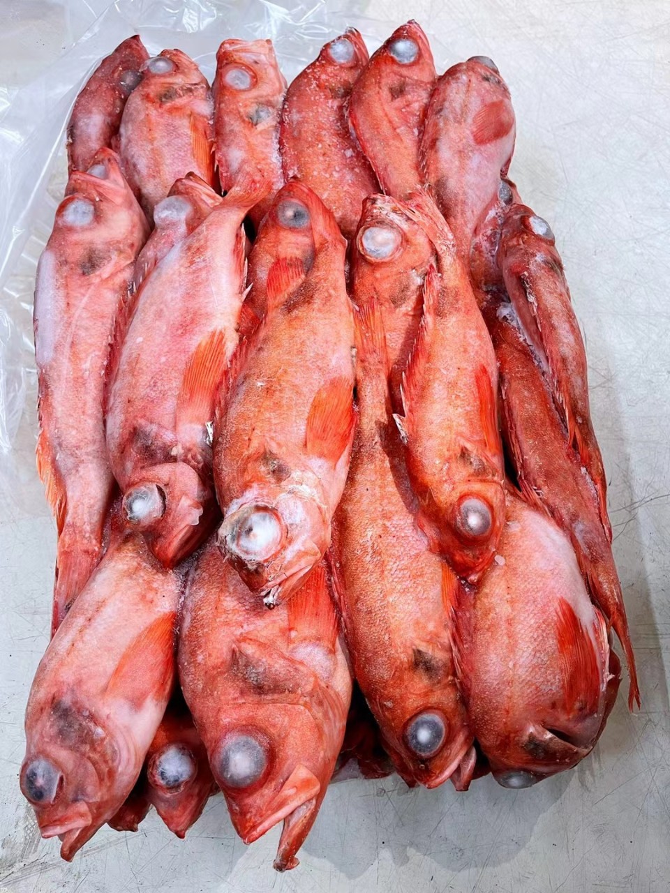 箱装22kg船冻深海挪威冰岛红鱼新鲜红石斑鱼