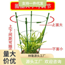 园艺支架爬藤花架支柱架阳台绿萝月季铁线莲藤本花卉植物攀爬花