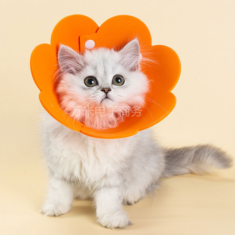 伊丽莎白圈猫项圈毛毡无纺布术后防咬防抓防挠吃饭喝水不影响带灯