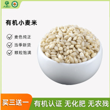 九鲤湖 麦仁500g/袋 农家去皮小麦仁大麦米粗粮五谷杂粮粥_阿里巴巴找