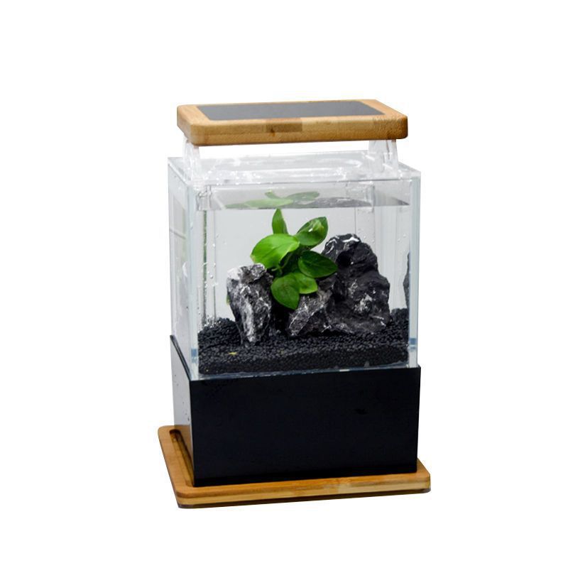 底滤鱼缸桌面水缸微缸迷你白鱼缸迷你斗鱼缸水族箱海水缸速卖通
