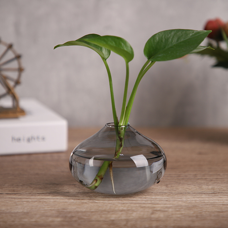 创意玻璃瓶水培植物容器绿萝养花彩色小花瓶干花插花客厅摆件装饰