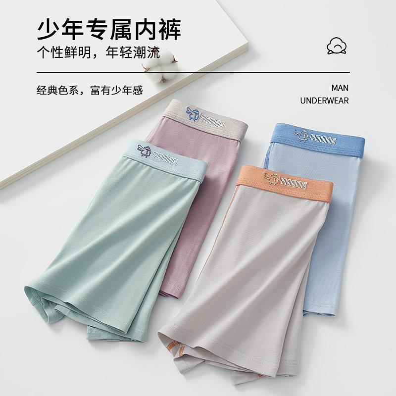 Teen Panties Men's Boxers Cotton Development Students High School Junior High School Students Boxers Underpants Summer