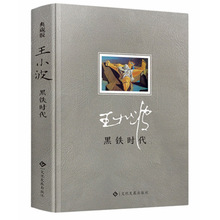 王小波黑铁时代 精装典藏版 时代三部曲 文化发展出版社
