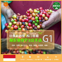 包邮金粽林东曼特宁G1三次手选印尼进口咖啡生豆2023新产季