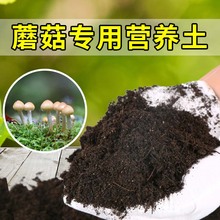 蘑菇专用土种菜农业室内花盆有机园艺黑土植物椰砖种植营养土家用