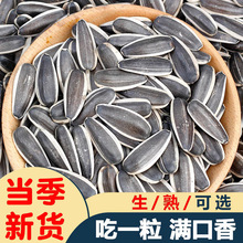 瓜子1-5斤原味炒熟葵花籽南瓜子椒盐焦糖五香核桃油葵籽跨境混批