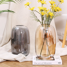 简约大肚玻璃花瓶烟灰现代客厅落地鲜花花瓶家居桌面装饰摆件花瓶
