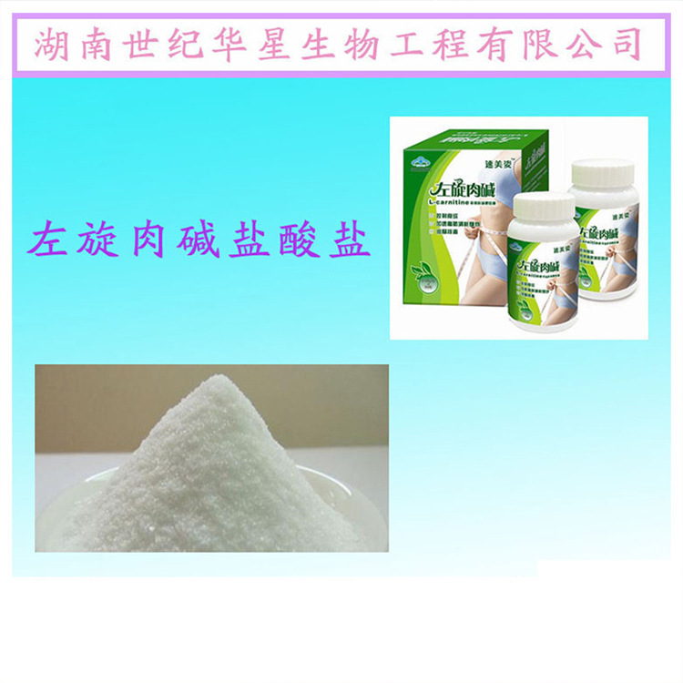【量大从优】好品质食品左旋肉碱盐酸盐 商家供应 现货批发