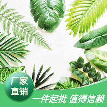 绿色植物大摄影装饰叶子ins插花龟背单片绿植假树叶叶道具