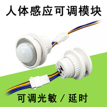 110V220VDC12V红外线人体感应开关可调延迟低压感应探头pir感应器