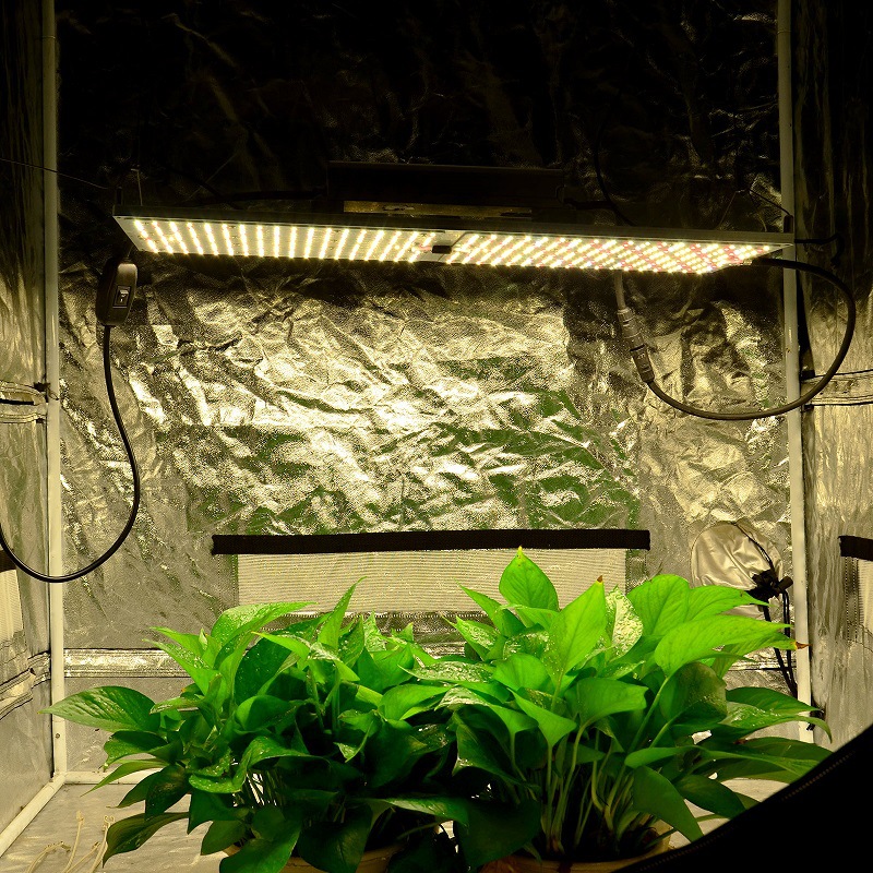 新款led植物生长灯 量子板植物灯 quantum board植物灯板防水补光