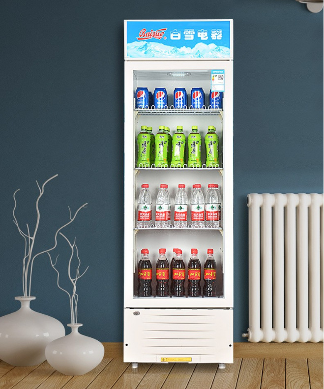 白雪冰柜冰柜立式陈列柜展示柜饮料啤酒柜酒吧冷柜点菜柜全国联保