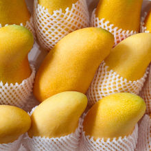 海南水仙芒果大金煌芒当季新鲜水果10斤应季纯甜水仙芒果整箱