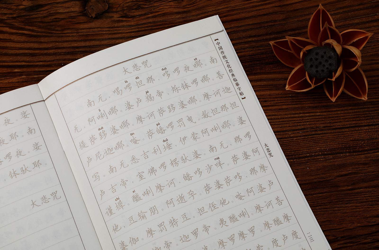 大悲咒 抄经本练字帖诵读本 硬笔楷书简体横排疑难字拼音金墨印刷