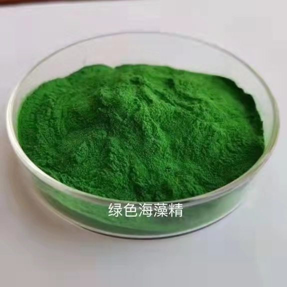绿色海藻精 大量批发绿色海藻精全溶性肥料级原粉 批发绿色海藻精