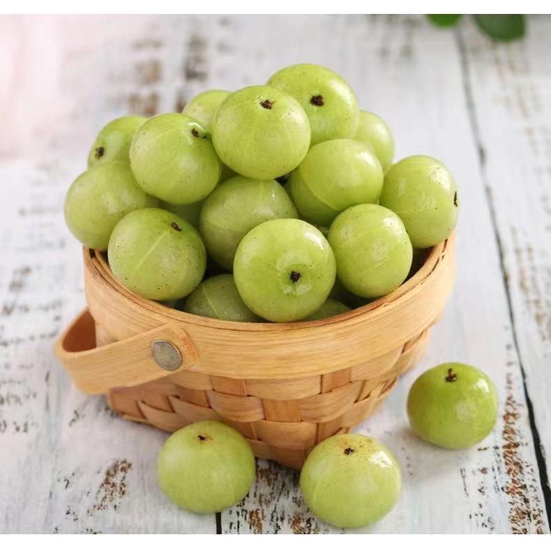 1斤包邮崩坎油柑果新鲜当季余甘果奶茶店用油甘子孕