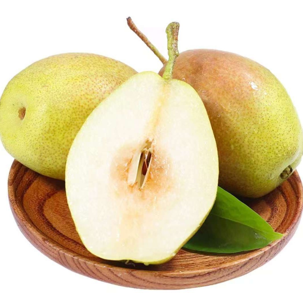 新疆库尔勒香梨梨子新鲜水果脆甜皮薄*3份（仅成都地区）