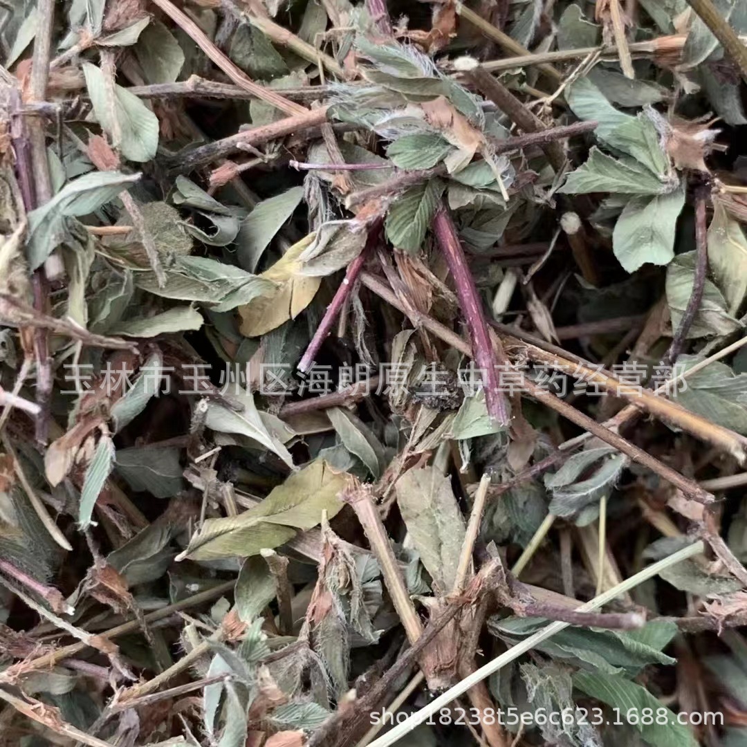 中药材三叶人字草丁葵草丁贵草鸡眼草 每件500克 实物拍摄不熏硫