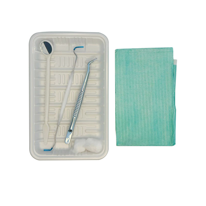 Factory Wholesale Disposable Dental Toolkit Dental Instrument Box Stomatoscope Probe Tweezers Gear Package Plastic Inspection Tray