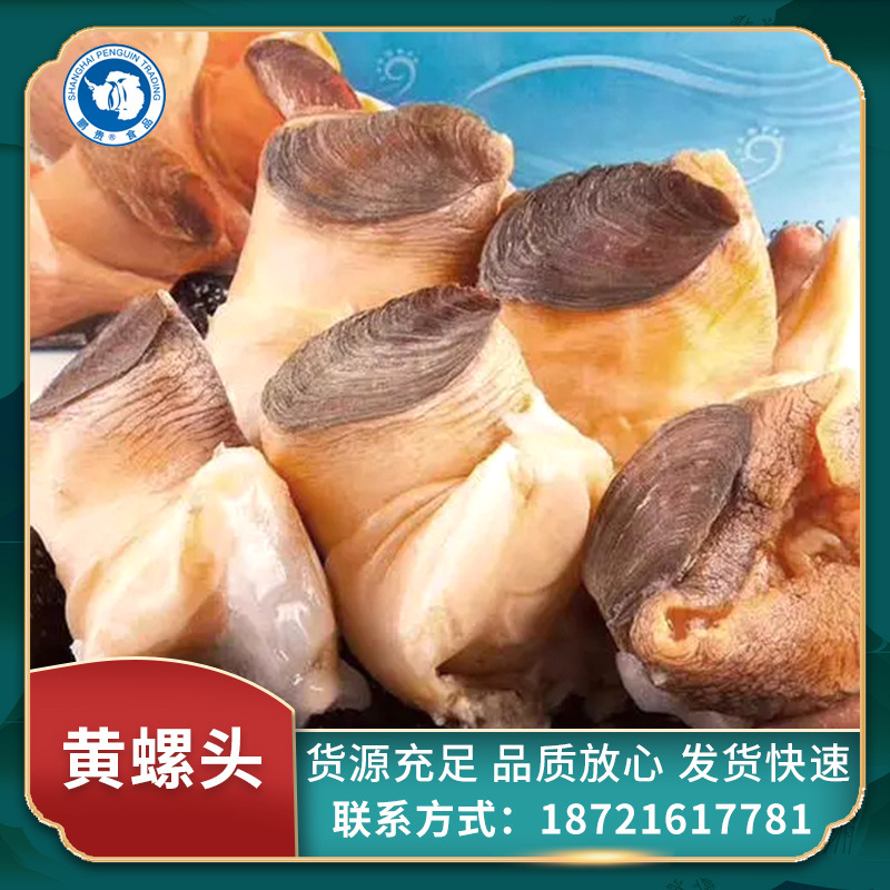 响螺头海螺头单冻黄螺头冻海螺肉煲汤 餐饮火锅食材水产批发冷冻