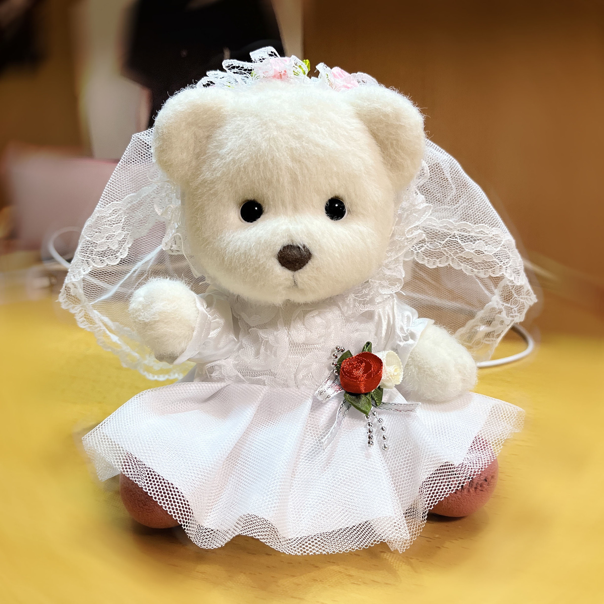 20厘米小号莉娜小熊公仔婚纱套装格子礼服连衣裙明星娃娃换装过家