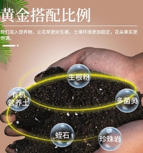 自制盆栽土壤通用养花兰肥有机发酵羊粪介质营养土兰花土陶粒