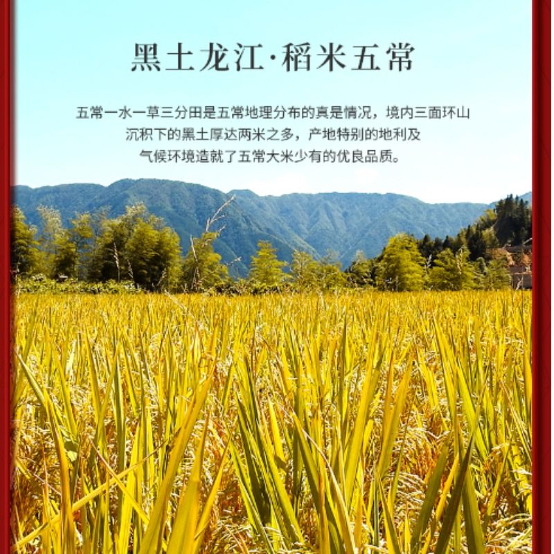 五常大米东北大米当季新米红盒粳米农家长粒礼品早稻米家用