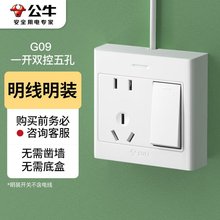 公牛(BULL) 明装开关插座 G09系列 10A一开双控五孔 G09E334S