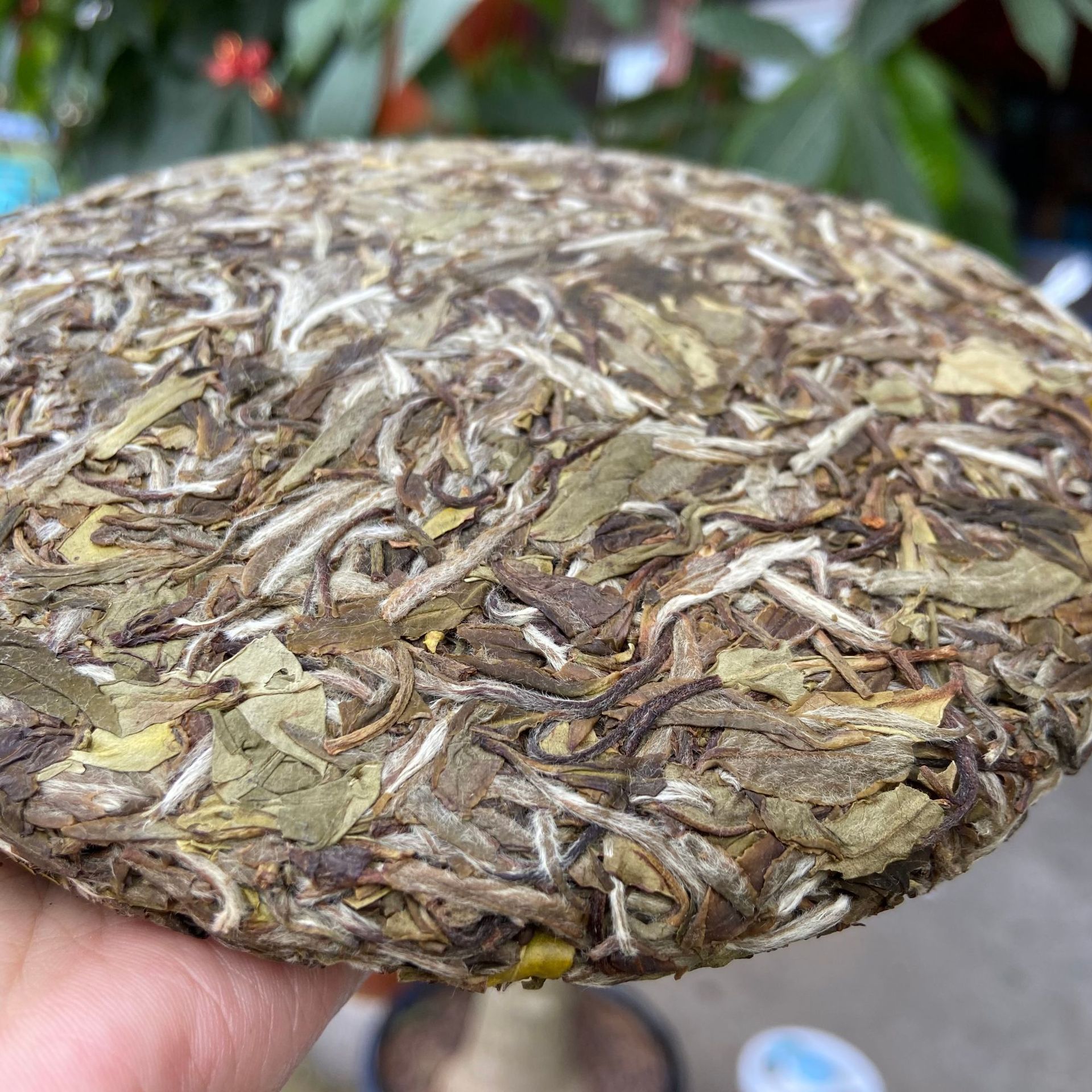 2021年白牡丹老白茶饼 高山白茶饼福建白茶300g厂家批发定制