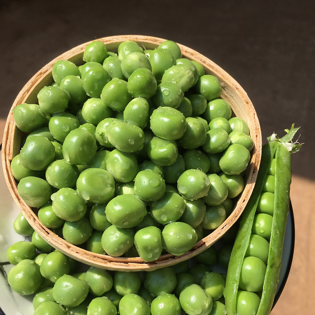 云南新鲜豌豆5斤装