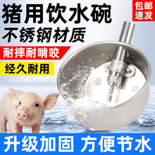 加厚猪用饮水碗不锈钢圆形自动饮水器养殖兽用母猪碗式小猪喝水嘴