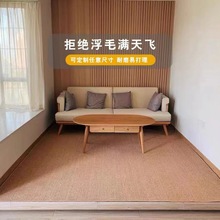 门口地毯日式民宿仿剑麻色防滑大面积满铺地毯客厅卧室床边榻榻米