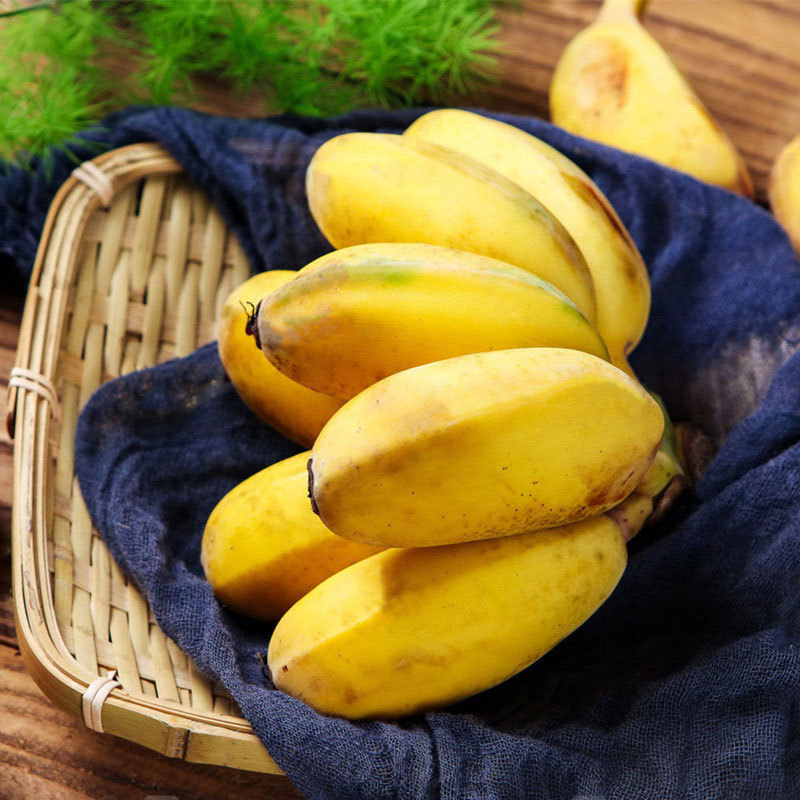 新鲜苹果粉蕉当季水果香蕉小米蕉海南芭蕉10斤整箱包邮皇帝蕉
