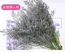 干花花束家居摆设客厅卧室云南情人草水晶草插花干花论斤卖500g